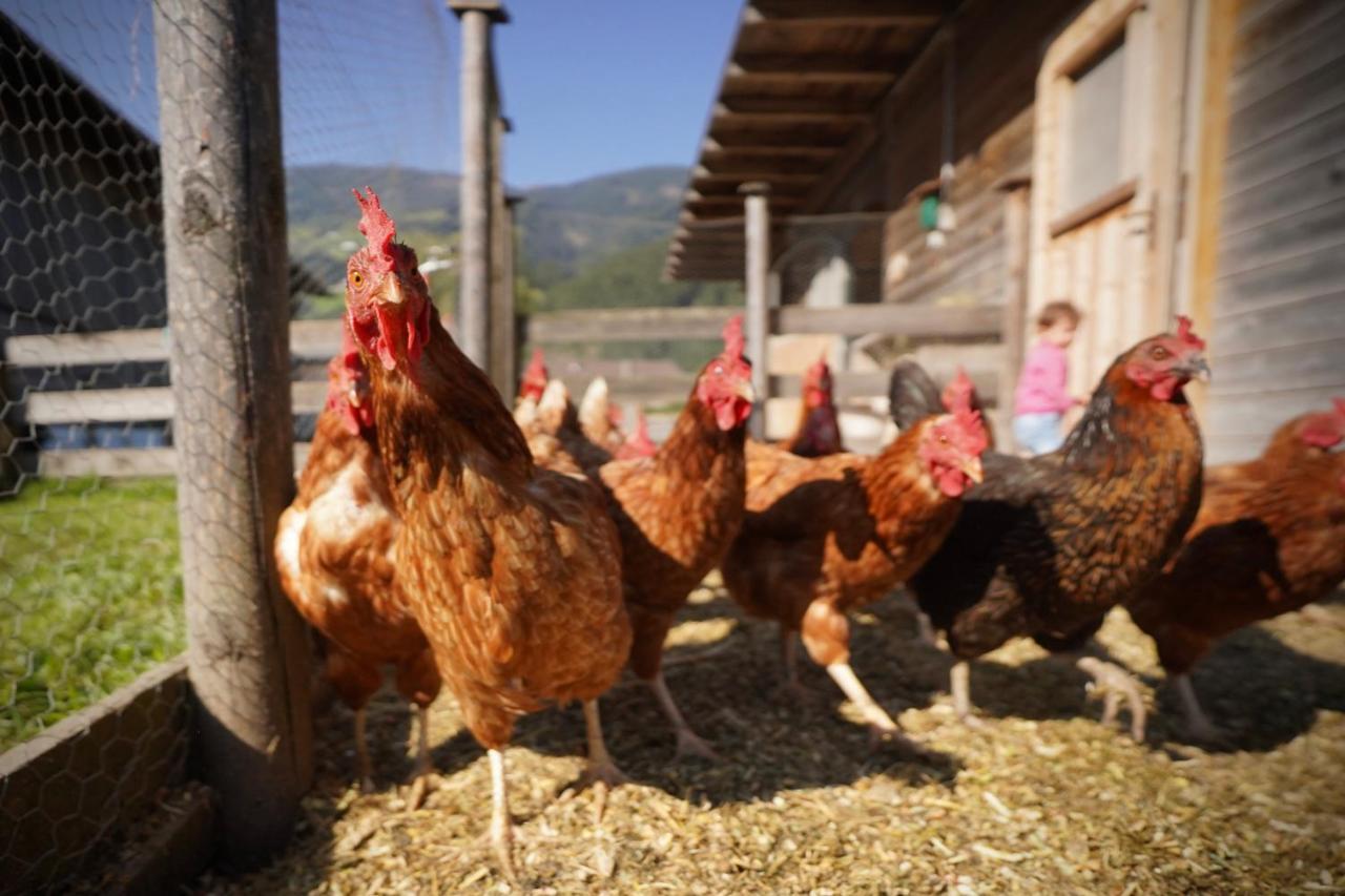 Martlerhof Lägenhet Aschau Im Zillertal Exteriör bild