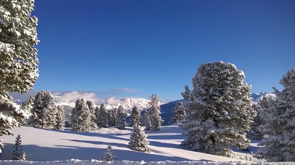 Martlerhof Lägenhet Aschau Im Zillertal Exteriör bild
