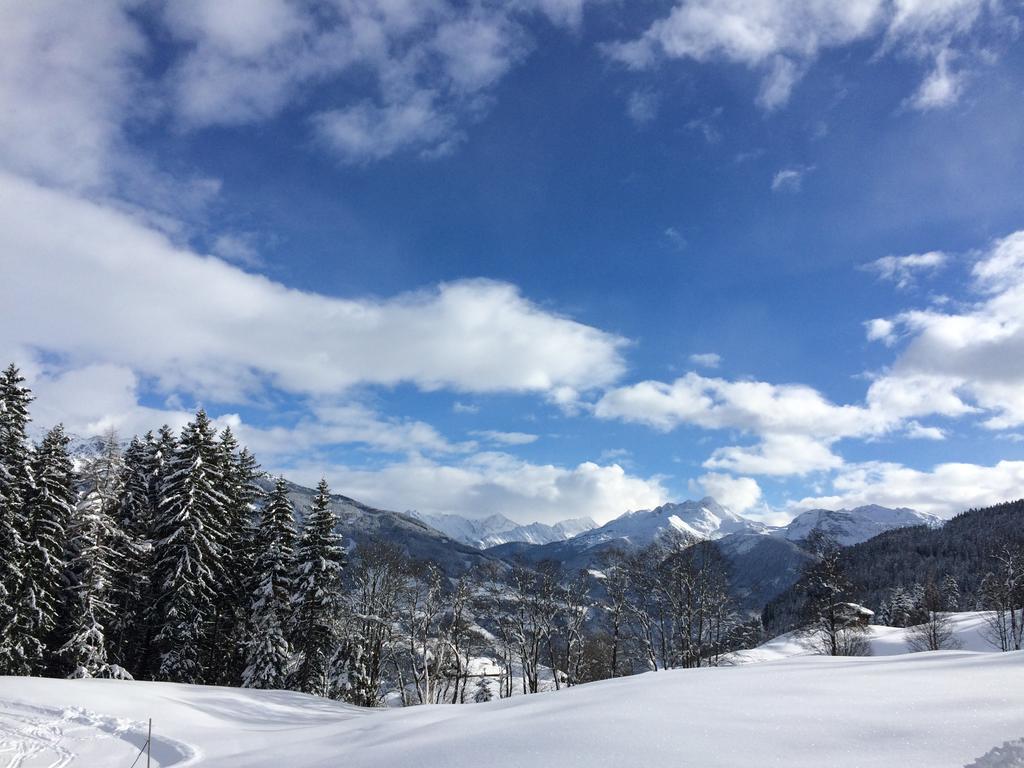 Martlerhof Lägenhet Aschau Im Zillertal Exteriör bild