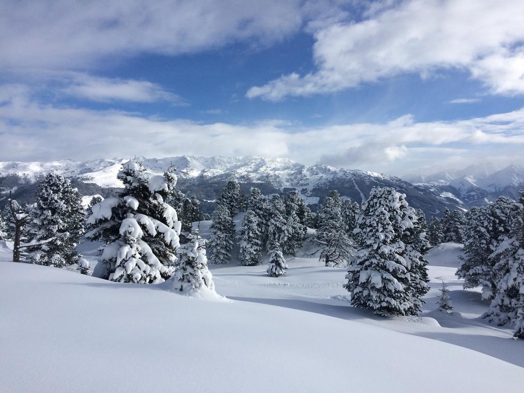 Martlerhof Lägenhet Aschau Im Zillertal Exteriör bild