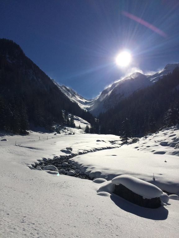 Martlerhof Lägenhet Aschau Im Zillertal Exteriör bild